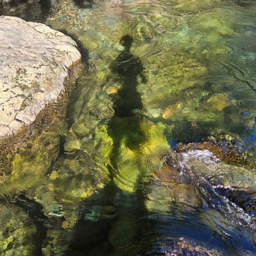 The Wisdom of the Body