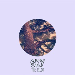 On The Go (Prod. Sky The Pilot)
