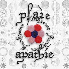 plaiem8 x snopoint apathy — Funkycore