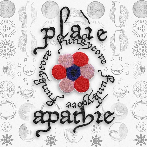 plaiem8 x snopoint apathy — Funkycore