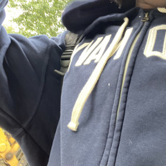 heaven gates (spinz homies)