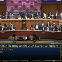Enviros Urge Stronger Climate Action in NY Budget