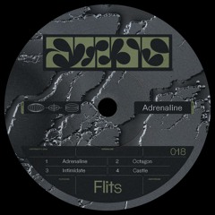 PREMIERE | Flits - Octagon [FLITS018]