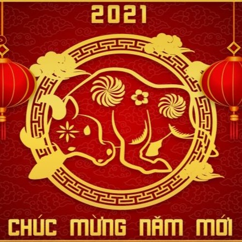 LÀM GÌ PHẢI HỐT (BeeBB VIP MIX)