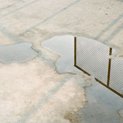 Movement - 13 March 2024