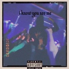 i know you see me