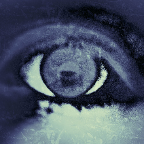 Ambient track