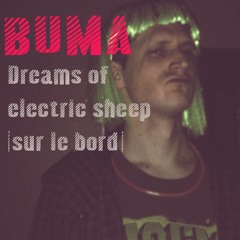 Dream Of Electric Sheep (sur Le Bord)