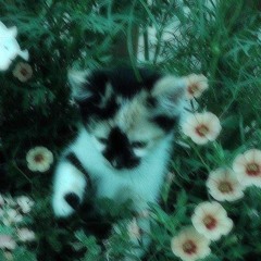 Тяжело остановиться