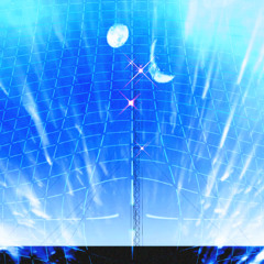 TERM B2B WOODGRAVES | SnowGRID | 08082025