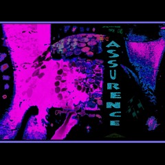 assurence (preliminary)