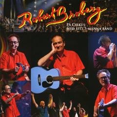 Vill Du Va´mitt Sexualobjekt Ikväll