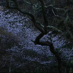 【Will Stetson x ReeK】Aishite Aishite Aishite -Rock Arrange- (English Cover)(sped up).