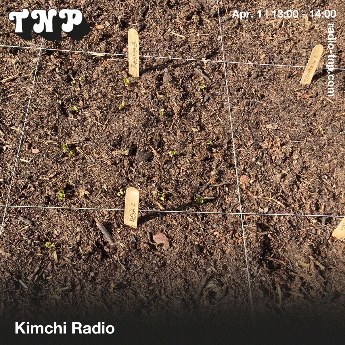 Kimchi Radio