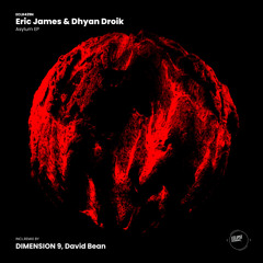 Asylum (DIMENSION 9 Remix)