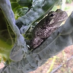 Moombaton Style Mix.mp3