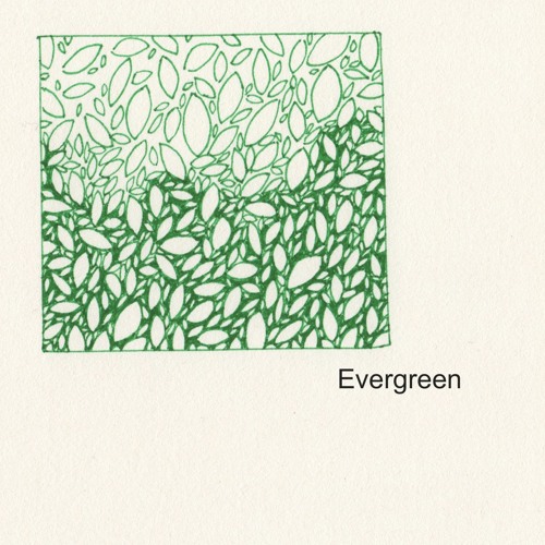 Evergreen