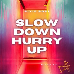 Slow Down, Hurry Up PixiePost x D$