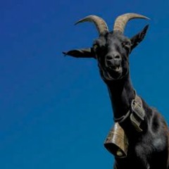 HK_Funky-Dub-Trap_tracks_14