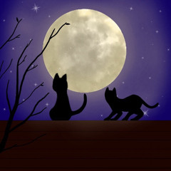 【#‬MA_2022】gathering of luminous cats