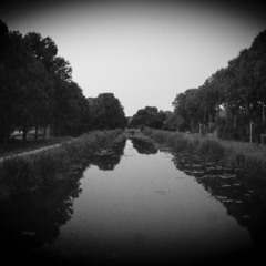 Reflection in the Water