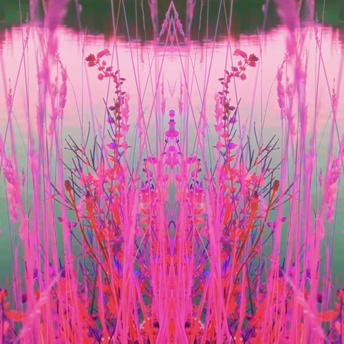 Synchronize