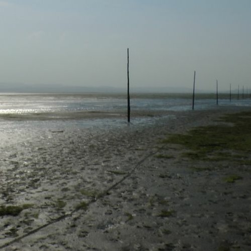 The Pilgrims Way - 2024 Remix and Remaster