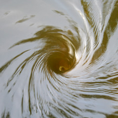 Vortex