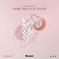 One Trick Pony - More Than You Know