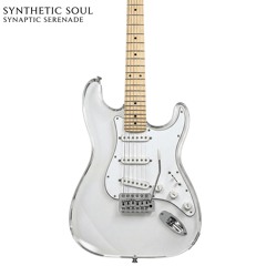 Synthetic Soul