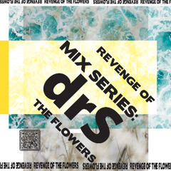 SHNGMIX38 Revenge Of The Flowers mix series: drS