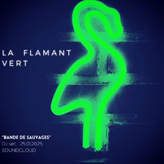 "BANDE DE SAUVAGES" | 25.01.25