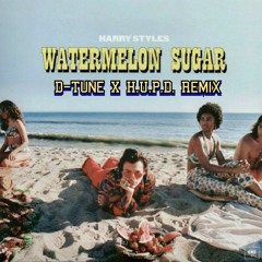 Harry Styles - Watermelon Sugar (D-Tune X H.U.P.D. Remix)