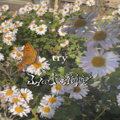 try 山田ギャル神宮