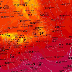 Cald40
