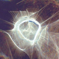 core