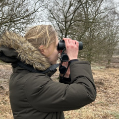 Leer vogelgeluiden herkennen met Lobke. Buitengewoon Gelderse Natuur