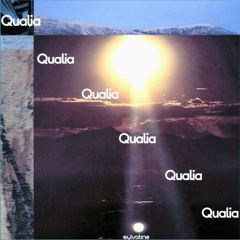 Qualia
