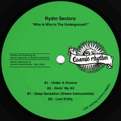 PREMIERE: Rydm Sectors - Under A Groove [Cosmic Rhythm]