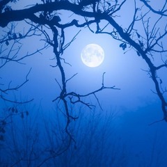 silent- moon pt.2 p. HOPEexl