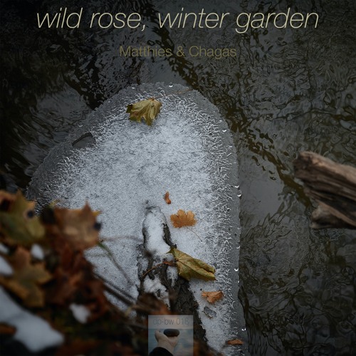 Wild Rose Falling (Matthies & Chagas)