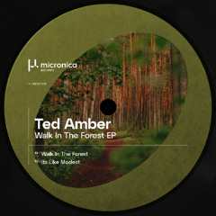 Premiere: Ted Amber - Walk In The Forest [MICRDIG006]