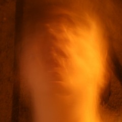 MAN PTK TRT (PIED. FLOVS)