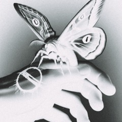 LONOMIA (prod. BLOOMGUMS)