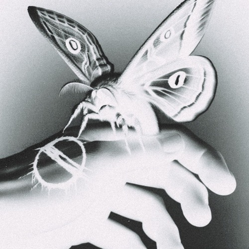 LONOMIA (prod. BLOOMGUMS)