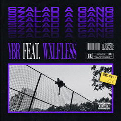Szalad a Gang (feat. Wxlfless)