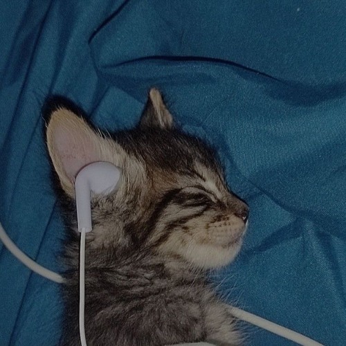 sleep anxiety! ft. Oldie Lemn