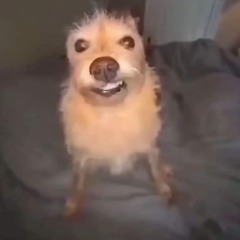 svdden death & NIMDA - ID