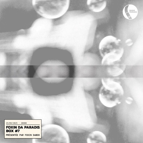 Foxin Da Paradis Box #7