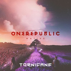 One Republic - Counting Stars (Tornicane Remix)